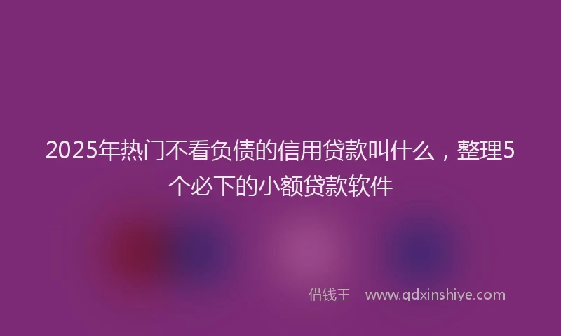 2025年热门不看负债的信用贷款叫什么，整理5个必下的小额贷款软件