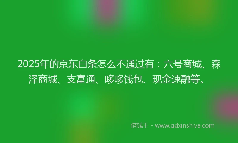 2025年的京东白条怎么不通过有：六号商城、森泽商城、支富通、哆哆钱包、现金速融等。