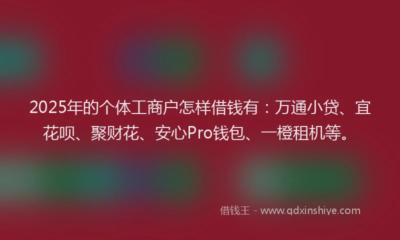 2025年的个体工商户怎样借钱有：万通小贷、宜花呗、聚财花、安心Pro钱包、一橙租机等。