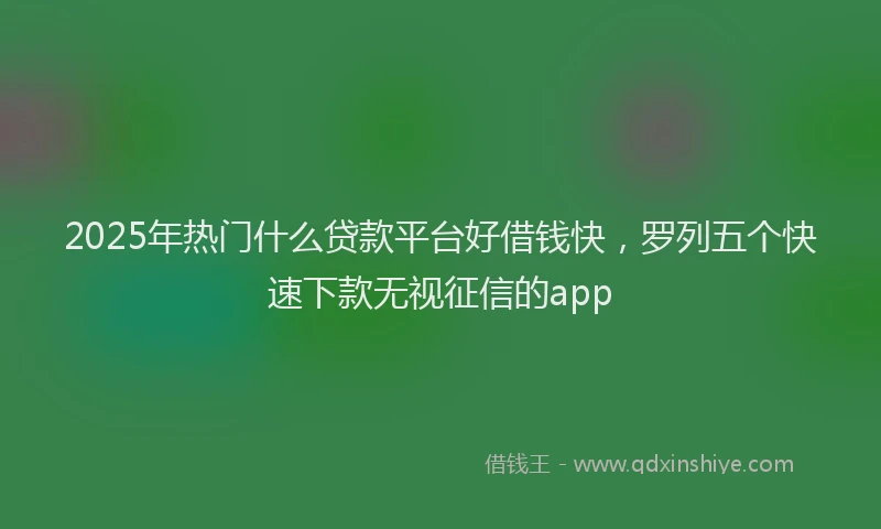 2025年热门什么贷款平台好借钱快，罗列五个快速下款无视征信的app