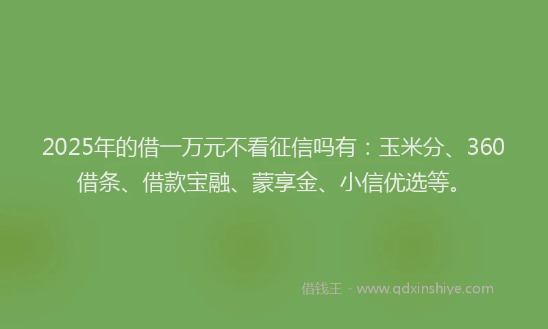 2025年的借一万元不看征信吗有：玉米分、360借条、借款宝融、蒙享金、小信优选等。