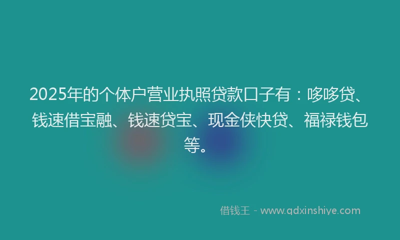 2025年的个体户营业执照贷款口子有：哆哆贷、钱速借宝融、钱速贷宝、现金侠快贷、福禄钱包等。