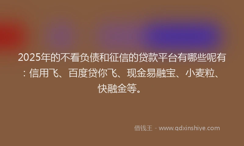 2025年的不看负债和征信的贷款平台有哪些呢有：信用飞、百度贷你飞、现金易融宝、小麦粒、快融金等。