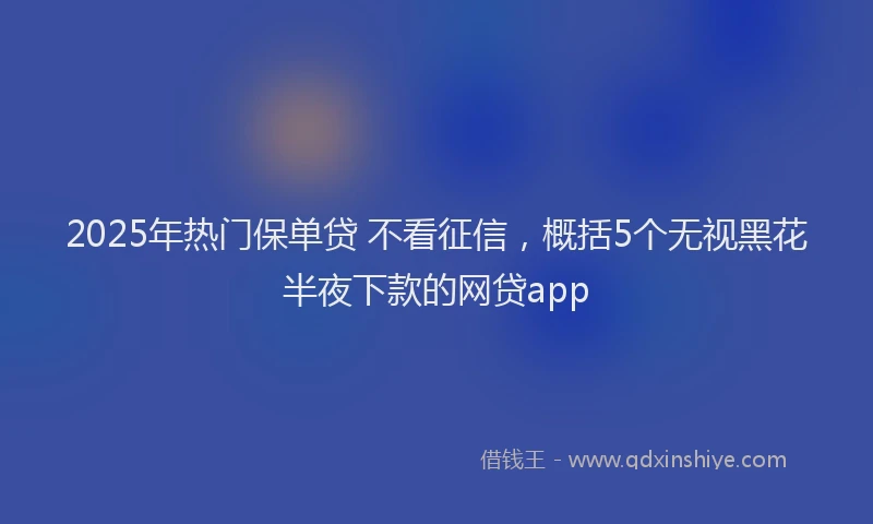 2025年热门保单贷 不看征信，概括5个无视黑花半夜下款的网贷app