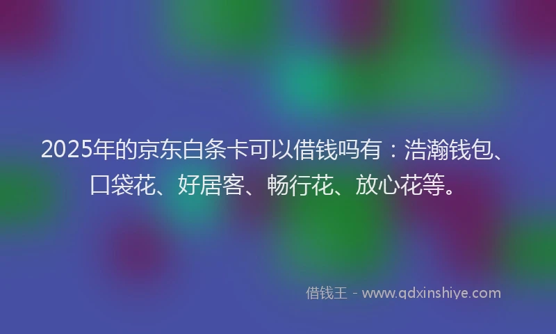 2025年的京东白条卡可以借钱吗有：浩瀚钱包、口袋花、好居客、畅行花、放心花等。