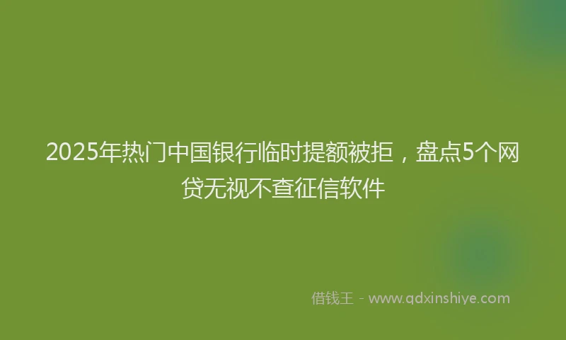 2025年热门中国银行临时提额被拒，盘点5个网贷无视不查征信软件