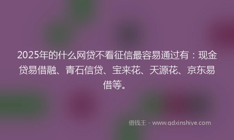 2025年的什么网贷不看征信最容易通过有：现金贷易借融、青石信贷、宝来花、天源花、京东易借等。