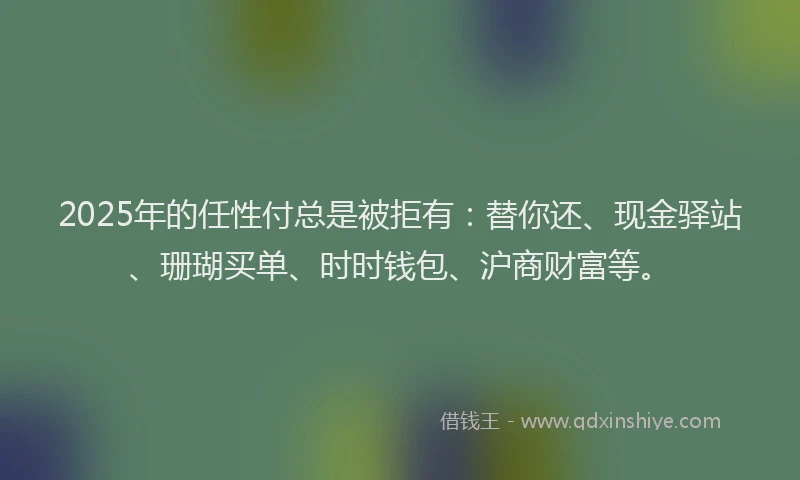2025年的任性付总是被拒有：替你还、现金驿站、珊瑚买单、时时钱包、沪商财富等。