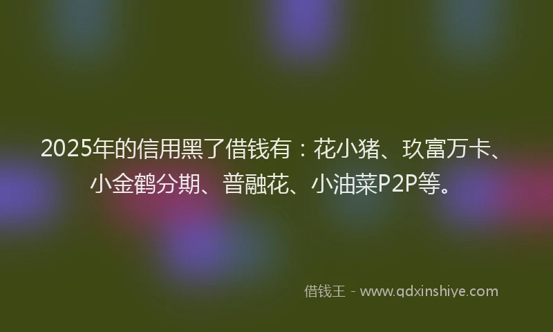 2025年的信用黑了借钱有：花小猪、玖富万卡、小金鹤分期、普融花、小油菜P2P等。