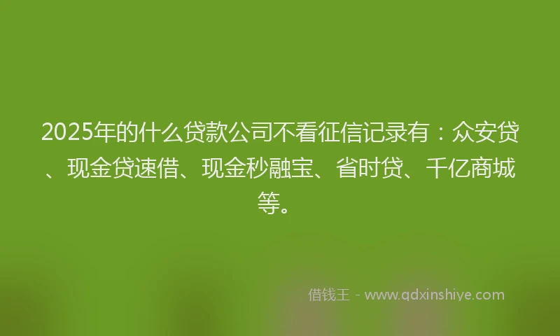 2025年的什么贷款公司不看征信记录有：众安贷、现金贷速借、现金秒融宝、省时贷、千亿商城等。