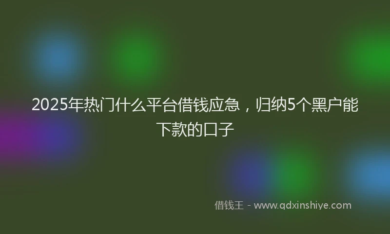 2025年热门什么平台借钱应急，归纳5个黑户能下款的口子