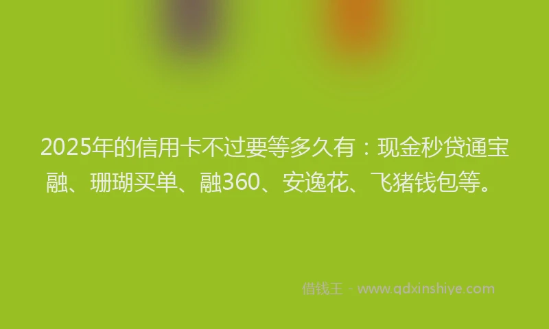 2025年的信用卡不过要等多久有：现金秒贷通宝融、珊瑚买单、融360、安逸花、飞猪钱包等。