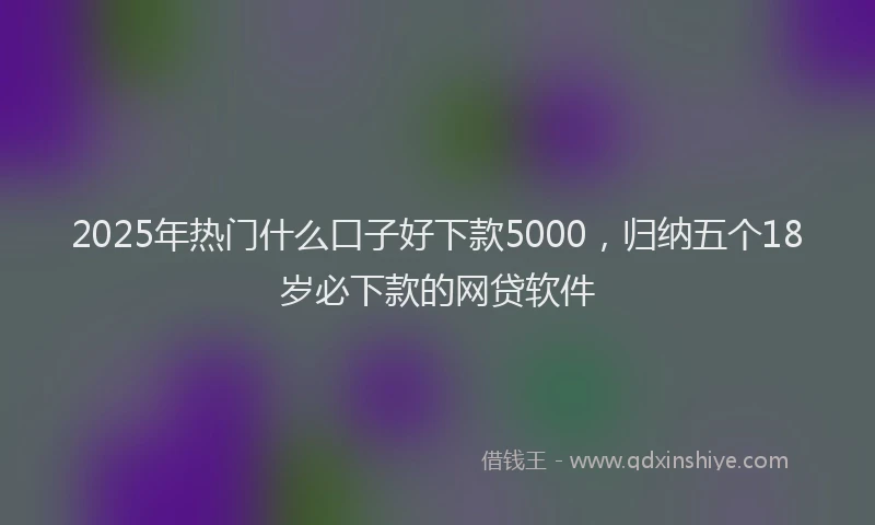 2025年热门什么口子好下款5000,归纳五个18岁必下款的网贷软件