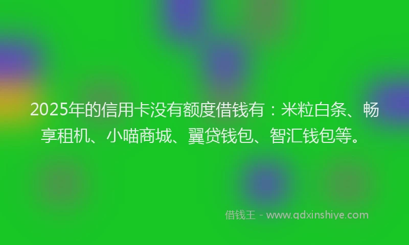 2025年的信用卡没有额度借钱有：米粒白条、畅享租机、小喵商城、翼贷钱包、智汇钱包等。