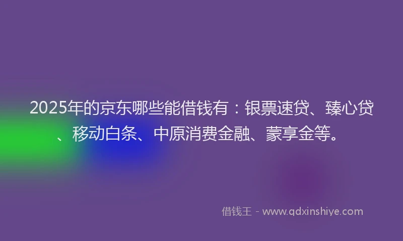 2025年的京东哪些能借钱有：银票速贷、臻心贷、移动白条、中原消费金融、蒙享金等。