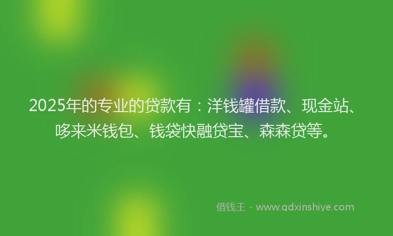 2025年的专业的贷款有：洋钱罐借款、现金站、哆来米钱包、钱袋快融贷宝、森森贷等。