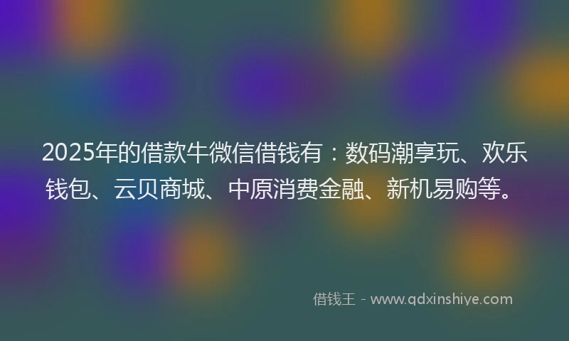 2025年的借款牛微信借钱有：数码潮享玩、欢乐钱包、云贝商城、中原消费金融、新机易购等。