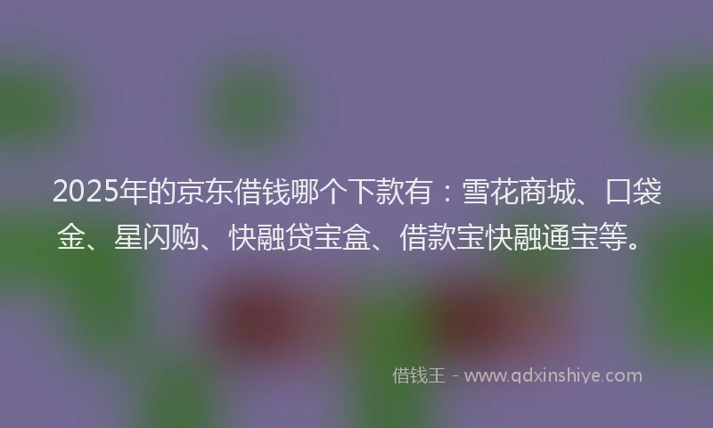 2025年的京东借钱哪个下款有：雪花商城、口袋金、星闪购、快融贷宝盒、借款宝快融通宝等。