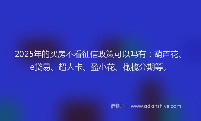 2025年的买房不看征信政策可以吗有：葫芦花、e贷易、超人卡、盈小花、橄榄分期等。