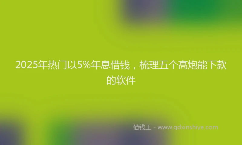 2025年热门以5%年息借钱，梳理五个高炮能下款的软件