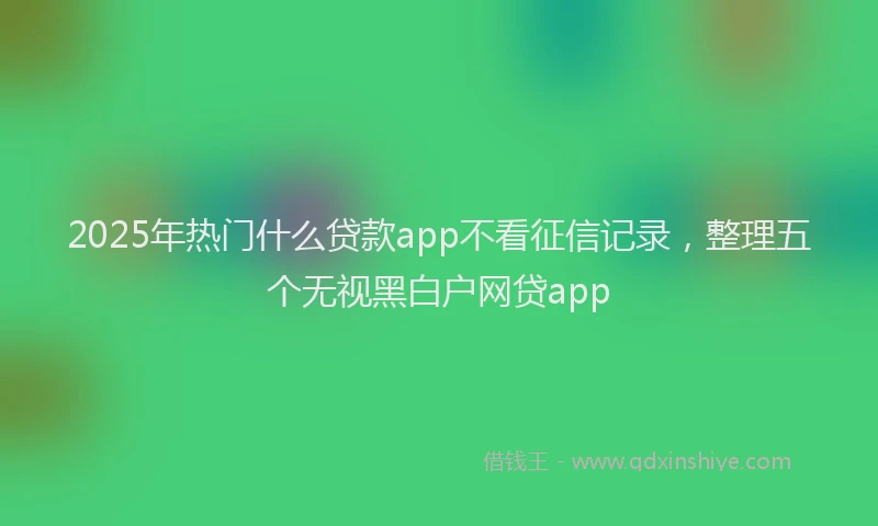 2025年热门什么贷款app不看征信记录，整理五个无视黑白户网贷app