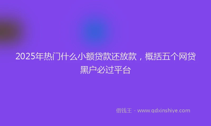 2025年热门什么小额贷款还放款，概括五个网贷黑户必过平台