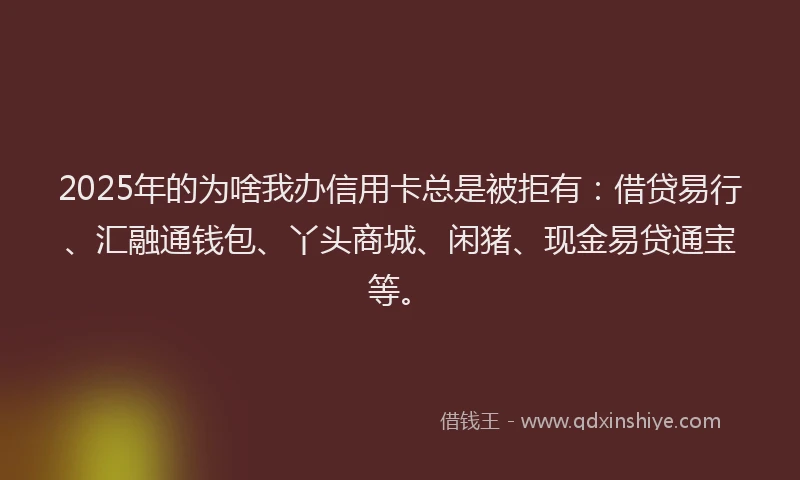 2025年的为啥我办信用卡总是被拒有：借贷易行、汇融通钱包、丫头商城、闲猪、现金易贷通宝等。
