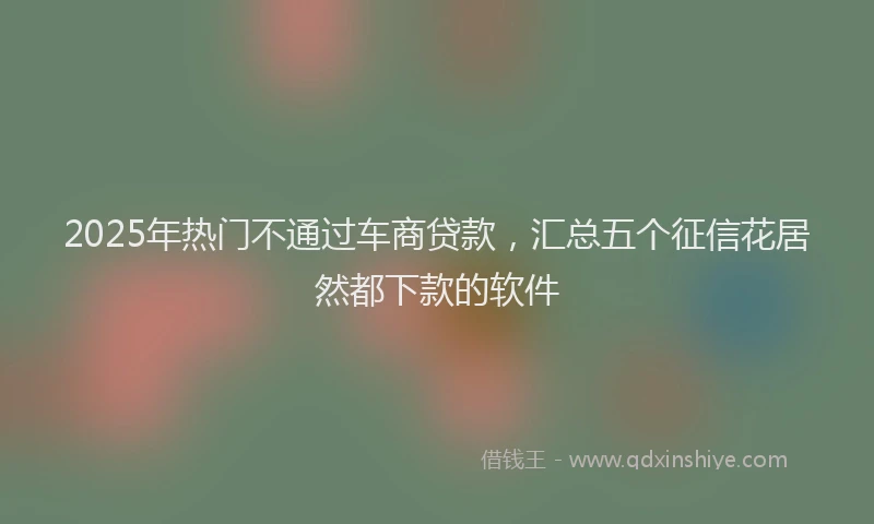 2025年热门不通过车商贷款，汇总五个征信花居然都下款的软件