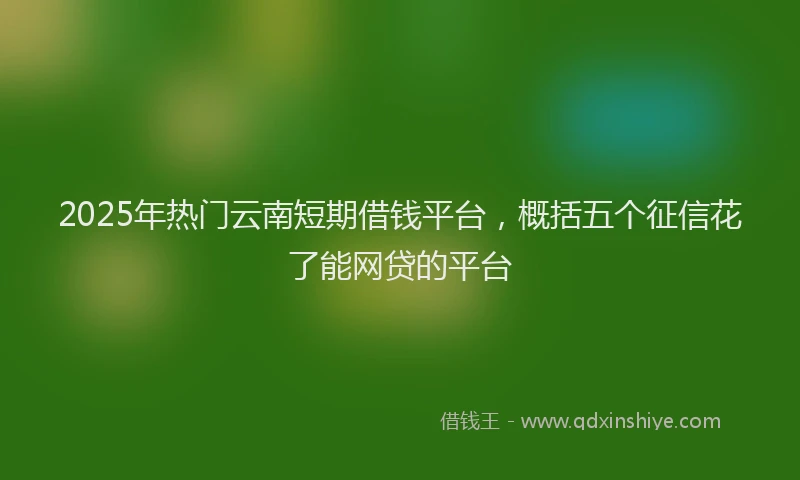 2025年热门云南短期借钱平台，概括五个征信花了能网贷的平台