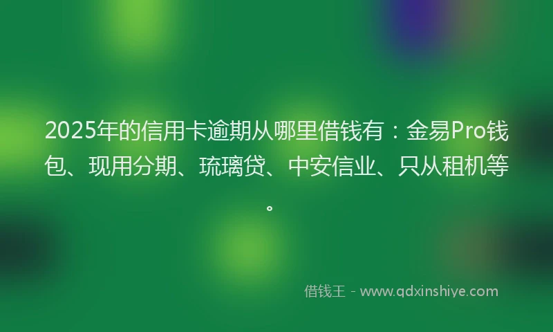 2025年的信用卡逾期从哪里借钱有：金易Pro钱包、现用分期、琉璃贷、中安信业、只从租机等。