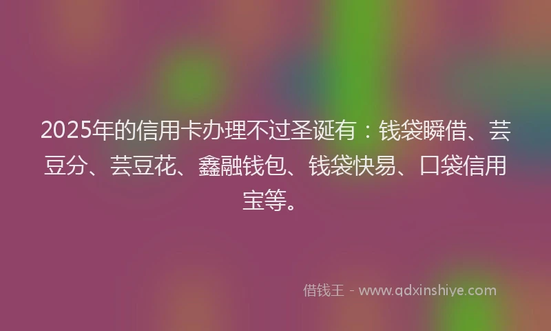 2025年的信用卡办理不过圣诞有：钱袋瞬借、芸豆分、芸豆花、鑫融钱包、钱袋快易、口袋信用宝等。