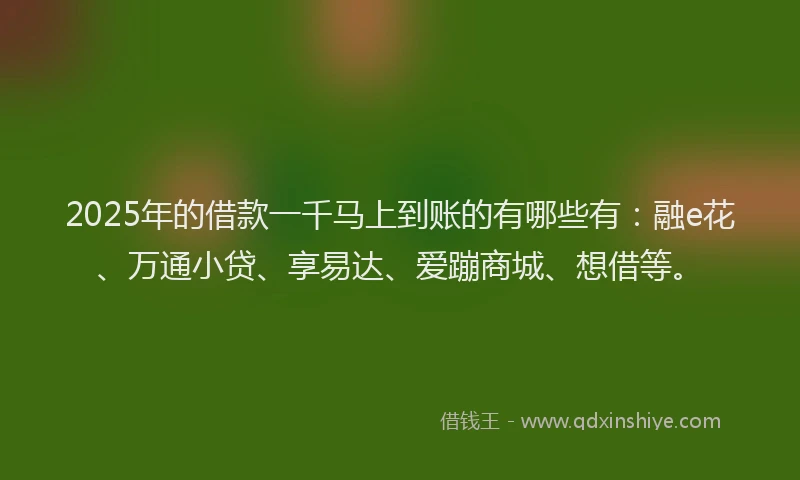 2025年的借款一千马上到账的有哪些有：融e花、万通小贷、享易达、爱蹦商城、想借等。