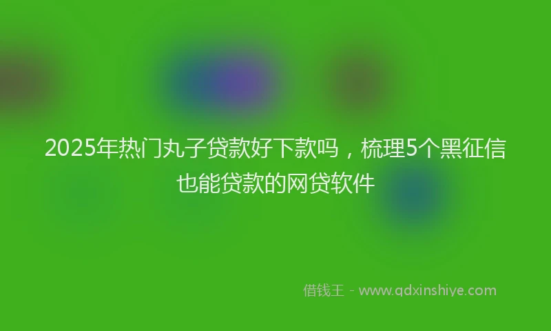 2025年热门丸子贷款好下款吗，梳理5个黑征信也能贷款的网贷软件