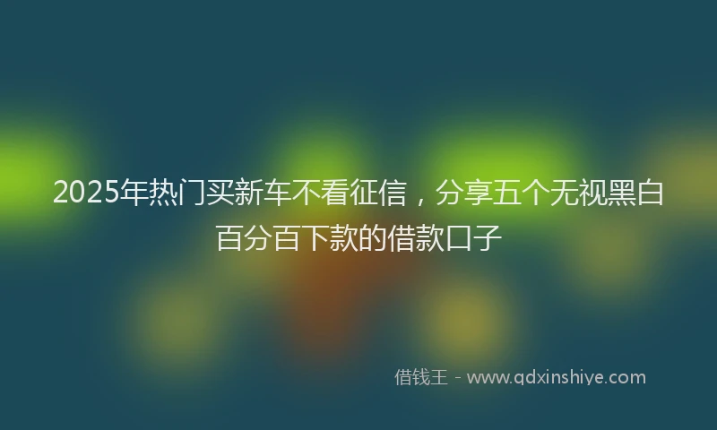 2025年热门买新车不看征信，分享五个无视黑白百分百下款的借款口子