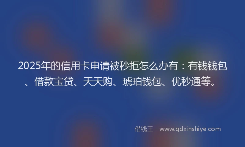 2025年的信用卡申请被秒拒怎么办有：有钱钱包、借款宝贷、天天购、琥珀钱包、优秒通等。