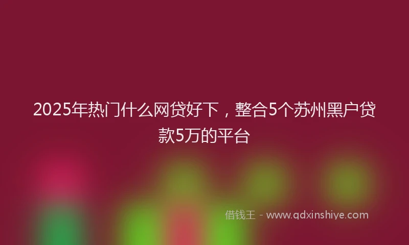 2025年热门什么网贷好下，整合5个苏州黑户贷款5万的平台