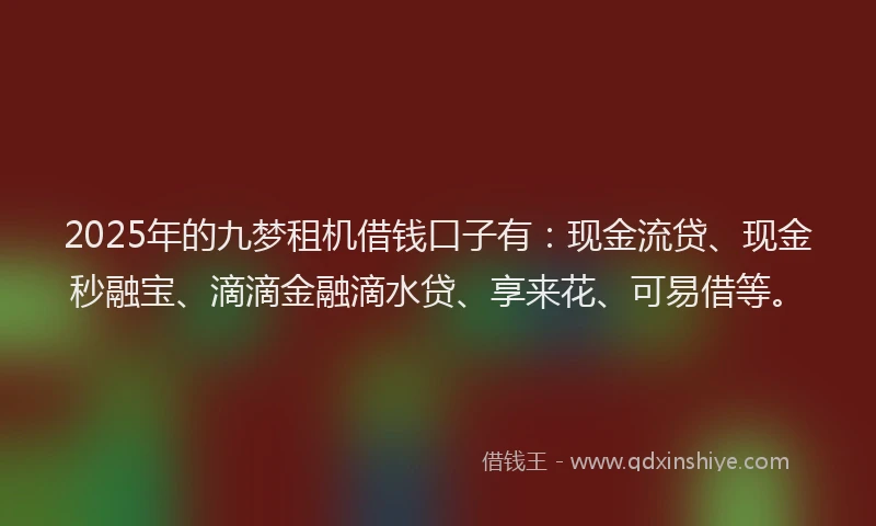 2025年的九梦租机借钱口子有：现金流贷、现金秒融宝、滴滴金融滴水贷、享来花、可易借等。