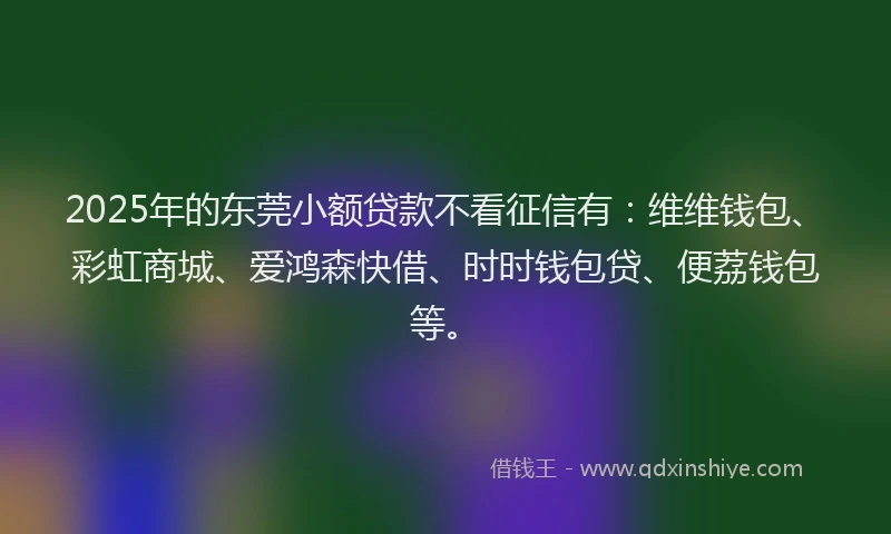 2025年的东莞小额贷款不看征信有：维维钱包、彩虹商城、爱鸿森快借、时时钱包贷、便荔钱包等。