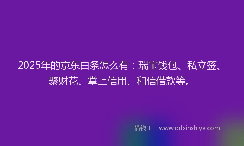 2025年的京东白条怎么有：瑞宝钱包、私立签、聚财花、掌上信用、和信借款等。