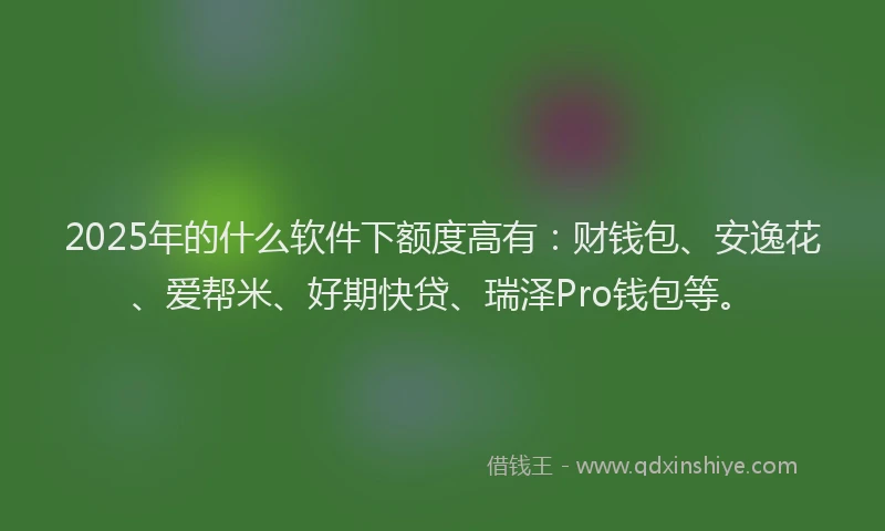 2025年的什么软件下额度高有：财钱包、安逸花、爱帮米、好期快贷、瑞泽Pro钱包等。