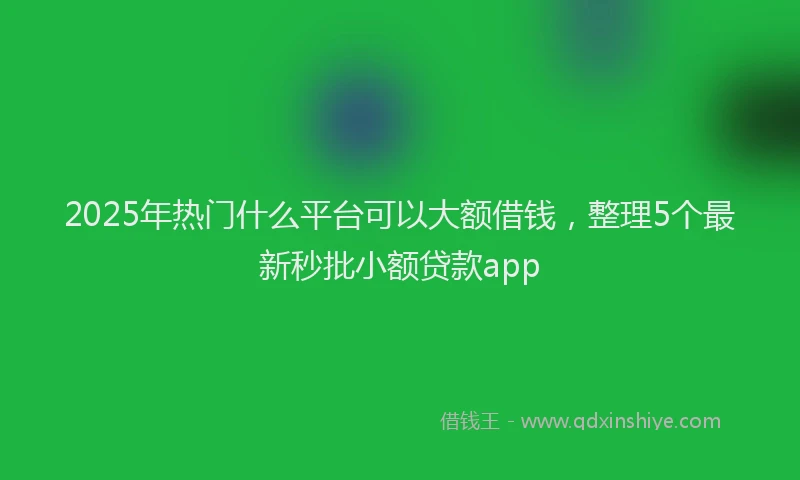 2025年热门什么平台可以大额借钱，整理5个最新秒批小额贷款app