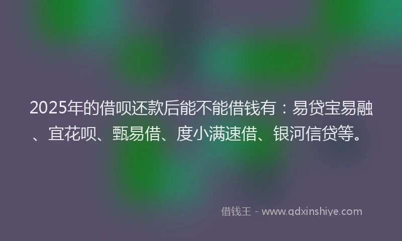 2025年的借呗还款后能不能借钱有：易贷宝易融、宜花呗、甄易借、度小满速借、银河信贷等。