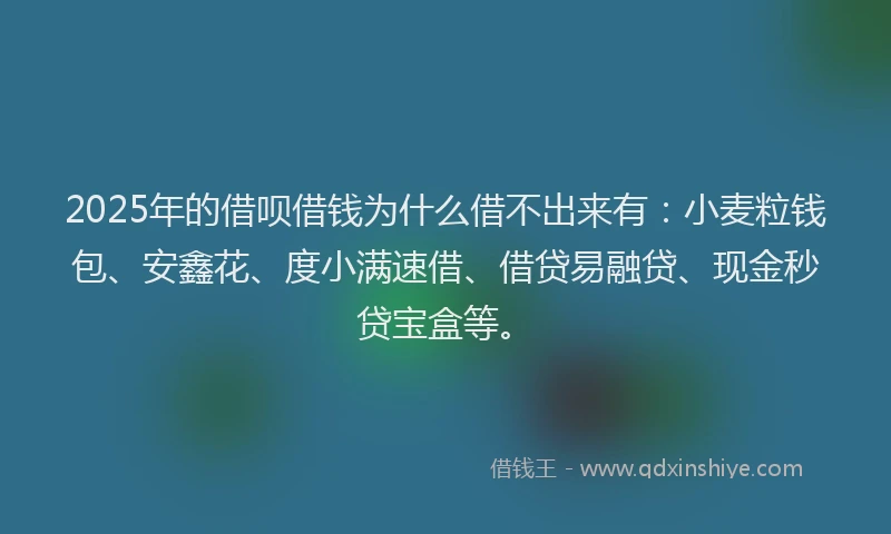 2025年的借呗借钱为什么借不出来有：小麦粒钱包、安鑫花、度小满速借、借贷易融贷、现金秒贷宝盒等。