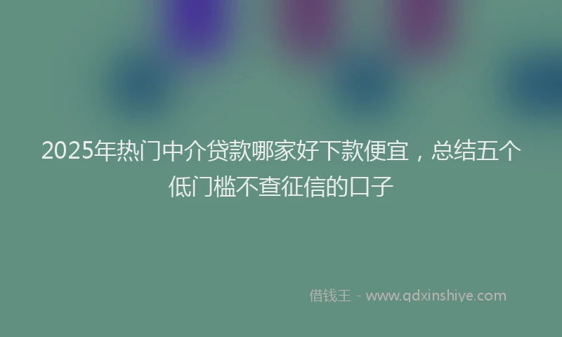 2025年热门中介贷款哪家好下款便宜，总结五个低门槛不查征信的口子