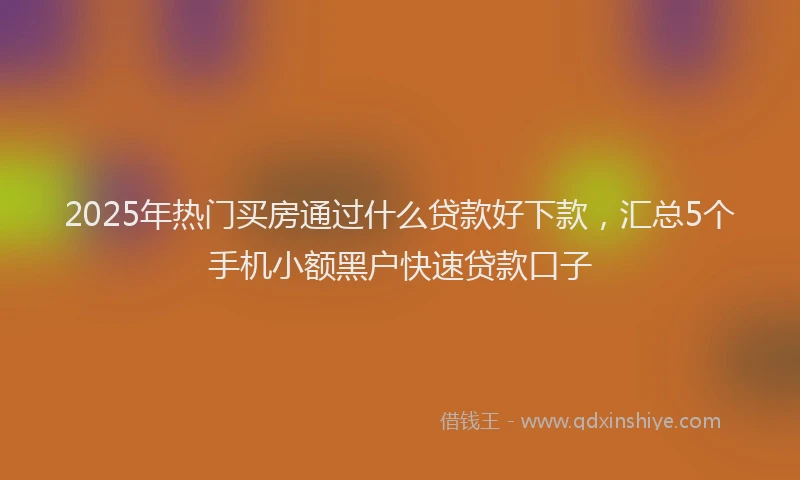 2025年热门买房通过什么贷款好下款，汇总5个手机小额黑户快速贷款口子