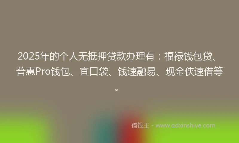 2025年的个人无抵押贷款办理有：福禄钱包贷、普惠Pro钱包、宜口袋、钱速融易、现金侠速借等。