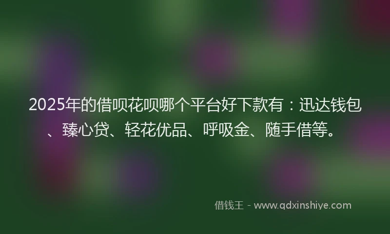 2025年的借呗花呗哪个平台好下款有：迅达钱包、臻心贷、轻花优品、呼吸金、随手借等。