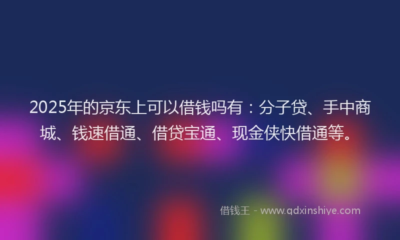 2025年的京东上可以借钱吗有：分子贷、手中商城、钱速借通、借贷宝通、现金侠快借通等。