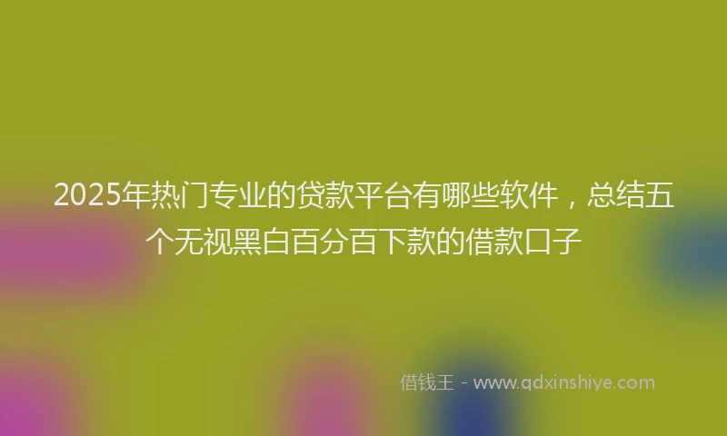 2025年热门专业的贷款平台有哪些软件，总结五个无视黑白百分百下款的借款口子