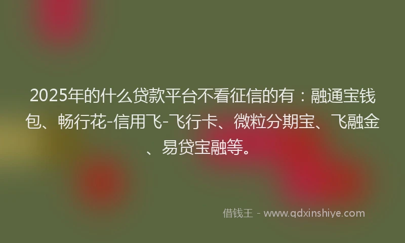 2025年的什么贷款平台不看征信的有：融通宝钱包、畅行花-信用飞-飞行卡、微粒分期宝、飞融金、易贷宝融等。
